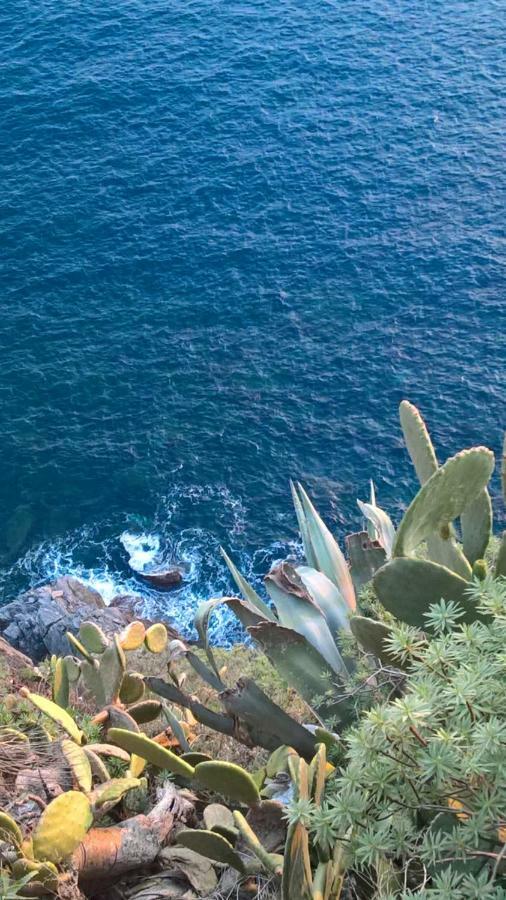 The Pearl Of 5 Terre - Monterosso Lägenhet Monterosso al Mare Exteriör bild